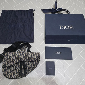 디올옴므 오블리크 새들백