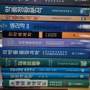 예방약학 약품정량분석 약품정성분석학 병리학 한약제제학 임상진단학 처방조제와 복약지도 임상약동학 생물약제학과 약동학
