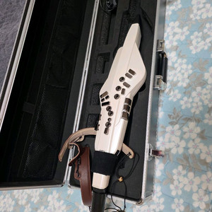 롤랜드 에어로폰 ae20 이미지