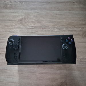 Rog ally x 흑갈리(1TB)