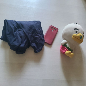 남녀공용 바지·리틀튜브 인형·삼성 A30 케이스 일괄 나눔