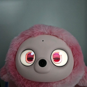 로펫 (ROPET) 반려로봇