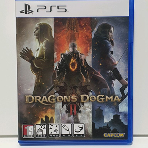 ps5 드래곤즈 도그마 2