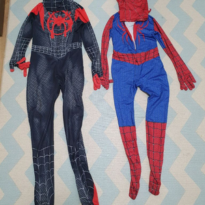 스파이더 코스튬