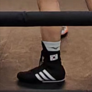 아디다스 복서호그 2 국가대표 지급용 270