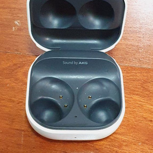 버즈2 본체, 그라파이트, SM-R177