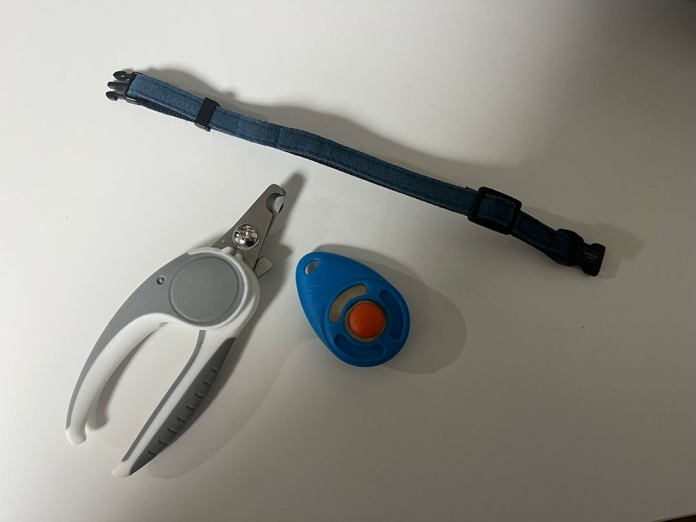 강아지 발톱깍기 클리커 목줄 일괄판매--2