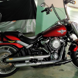 할리데이비슨 펫보이