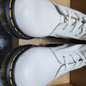 닥터마틴 패럴 오픽얼 화이트 240 이미지