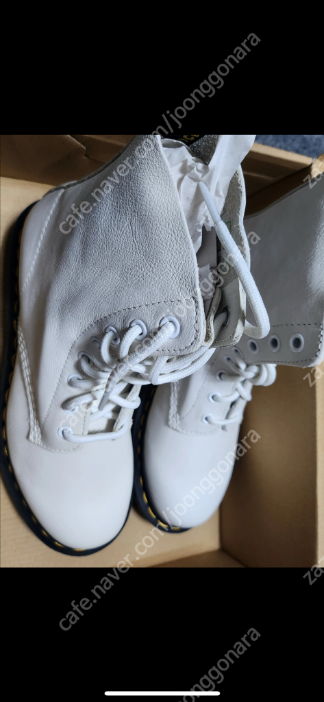 닥터마틴 패럴 오픽얼 화이트 240 이미지