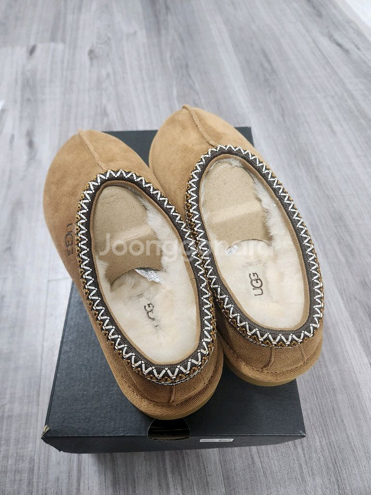 UGG 타스만2 체스트넛 US8 (260)--1