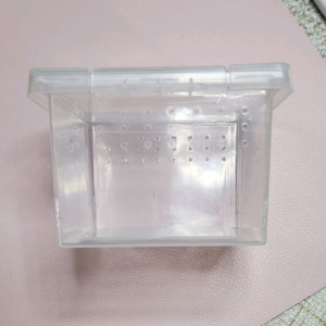 (20개일괄)투명 곤충 채집통 브리딩박스 미니사육장 밀웜 유충 보관 거미