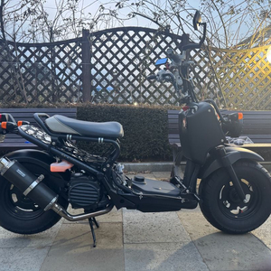 혼다 줌머 익젝션 이미지