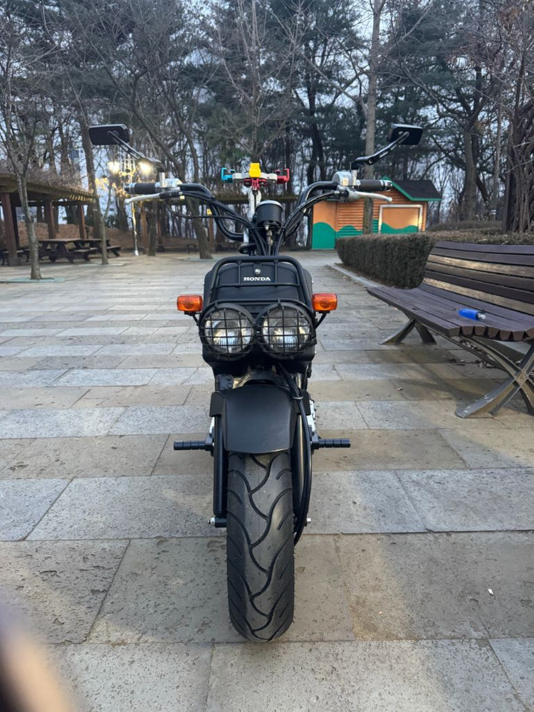 혼다 줌머 익젝션 이미지