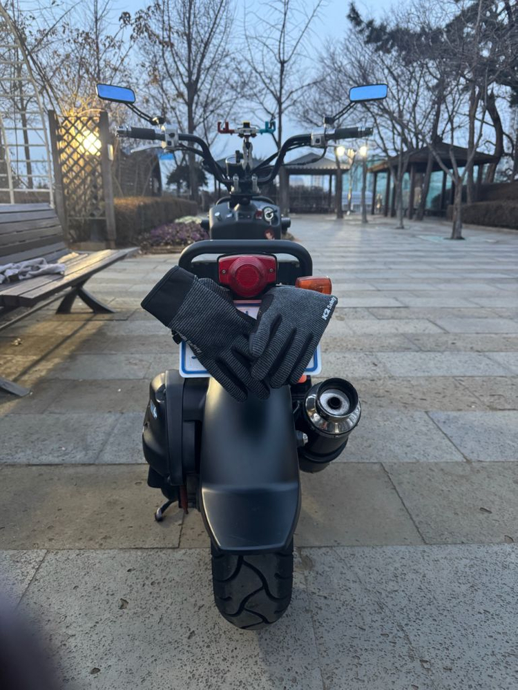 혼다 줌머 익젝션 이미지