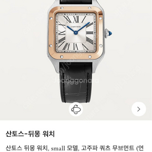 [서울] 까르띠에 산토스 뒤몽 스몰