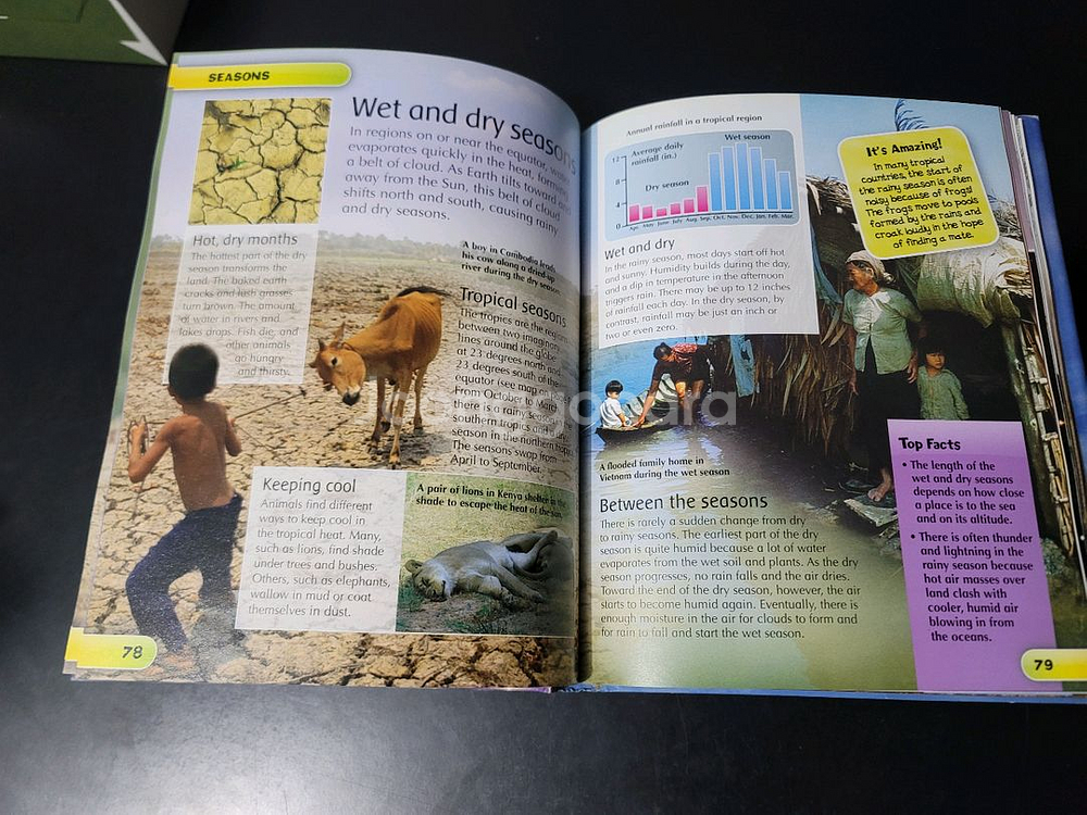 어린이 인체/날씨 백과사전(영어 2권) 세트 일괄--4