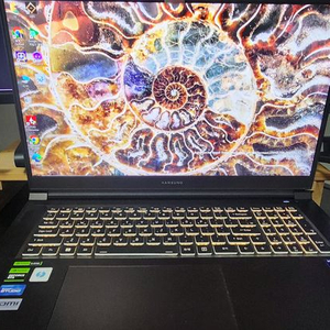 한성 GTX73 i9 4070 게이밍 노트북