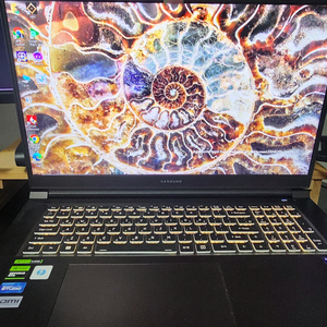 한성 GTX73 i9 4070 게이밍 노트북