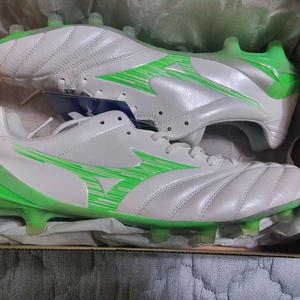 미즈노 모나르시다3