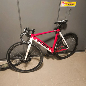 언노운 샤크 2024 이미지