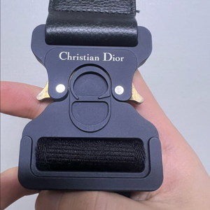 디올 맨 새들백