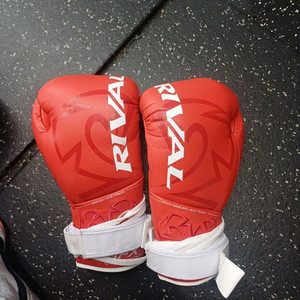 라이벌 게레로 글러브