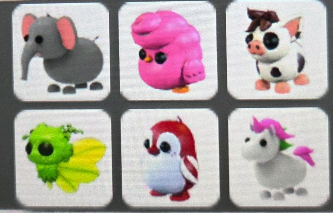 입양하세요 펫 구합니다! (뒷장도 있습니다!) 이미지