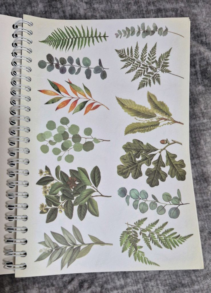 빈티지 다꾸 스티커북 이미지