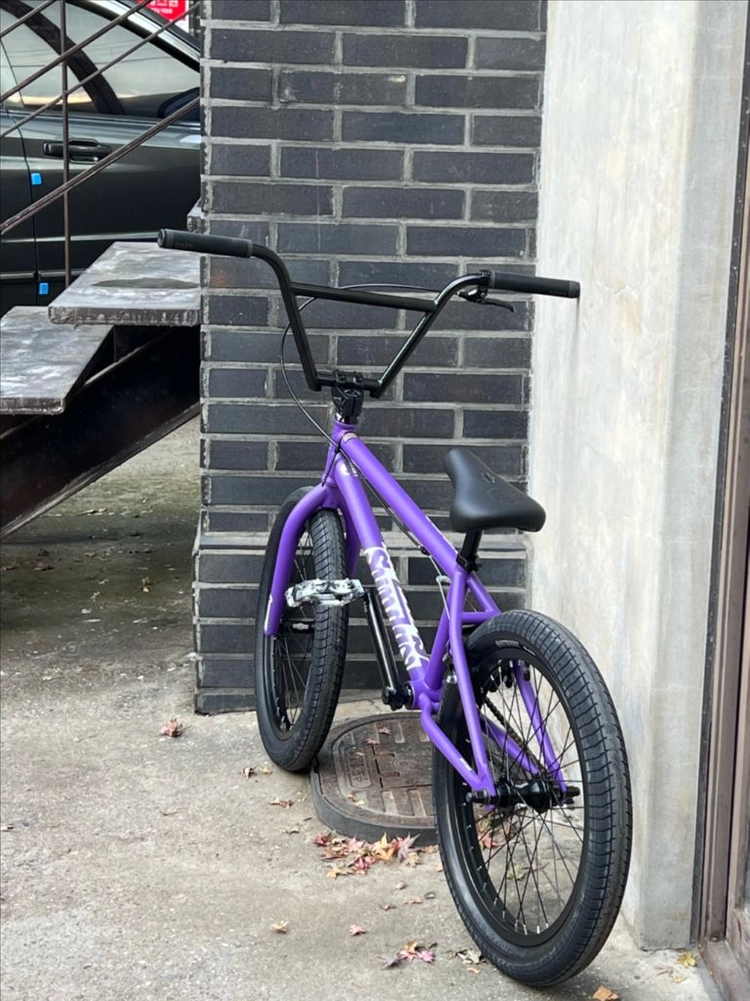 선데이 bmx 포어케스터 - 안심되는 중고거래