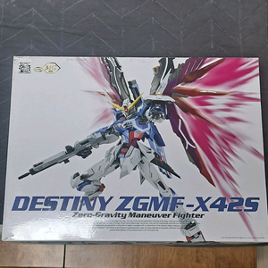 중국건프라 건담 메탈빌드 MG데스티니 X425