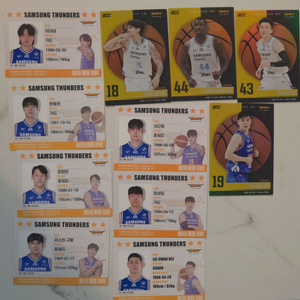 25-26 KBL 카드 삼성 일괄