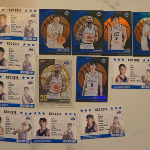 25-26 KBL 카드 KCC 일괄