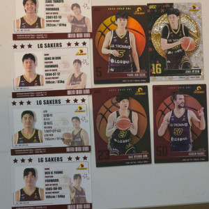 25-26 KBL 카드 LG 일괄