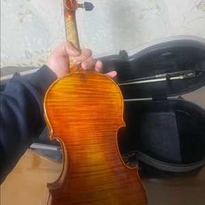 홍성우 불도장 바이올린 풀세트