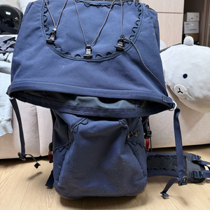 클라터뮤젠 아바카 60, 피마팽