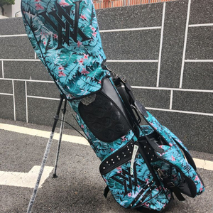어뉴Anew스탠드캐디백 골프백