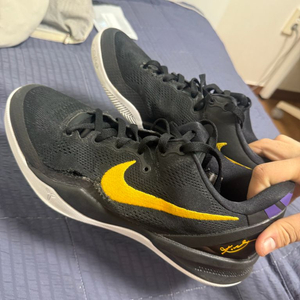 코비8 프로트로 285