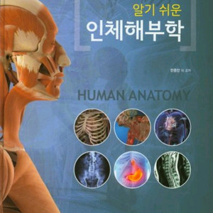 알기 쉬운 인체해부학 pdf 구합니다!