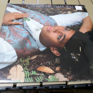 나라다 마이클 월든의 The Nature of Things LP