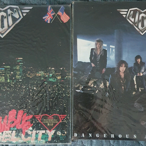 LION LP2장(미개봉)