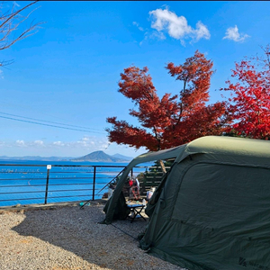 위캔트립 모델D 판매합니다