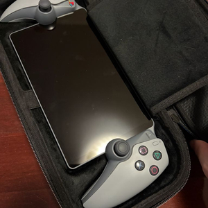 플스 포탈 30주년 판매합니다 (본문 확인)