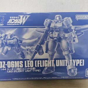 HG 리오 플라이트 타입