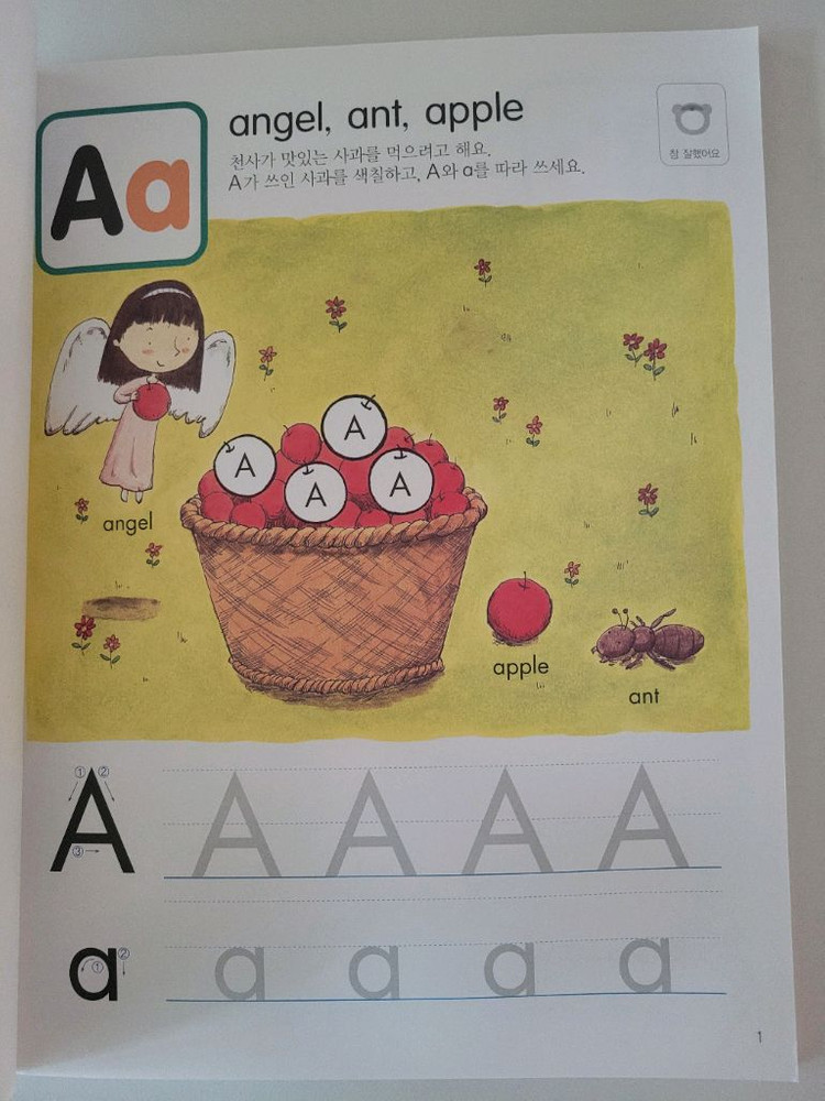 (새책) 유아 영어 워크북(알파벳, 수학) 이미지
