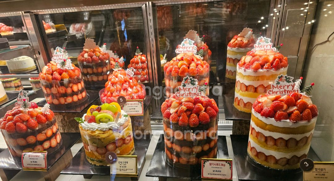 성심당 말차시루 딸기시루 롤 빵 등 전국배달--1