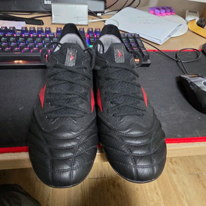 모렐리아 네오4 엘리트 ag 팝니다.