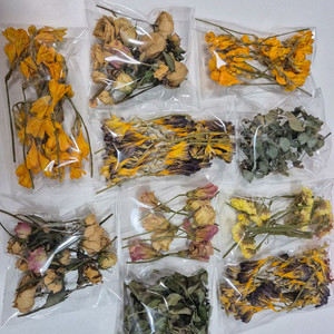 드라이플라워 캔들용 하바리움 석고방향제용 일괄만원