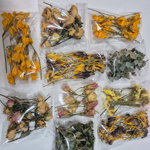 드라이플라워 캔들용 하바리움 석고방향제용 일괄만원