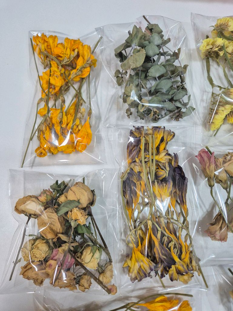 드라이플라워 캔들용 하바리움 석고방향제용 일괄만원--1